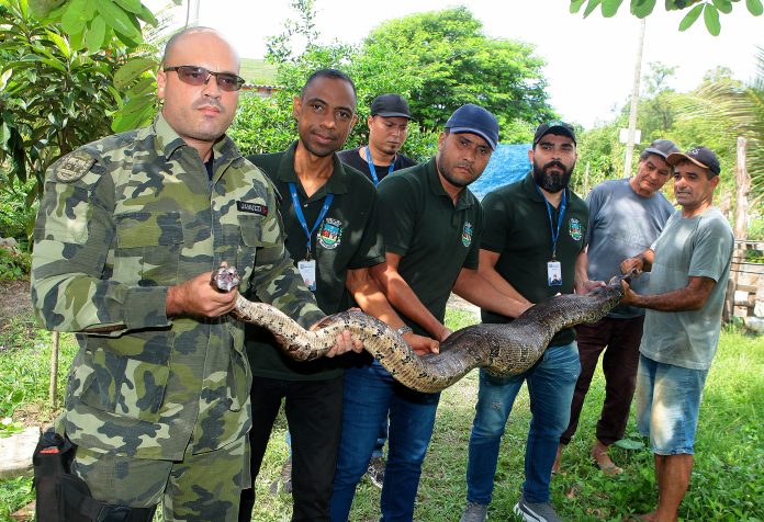 2025-04-24 JOBÓIA ENCONTRADA EM NOVA BRASILIA_RF (15)