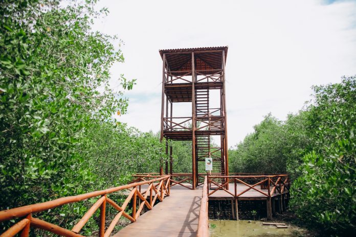 Parque Barão de Mauá-105