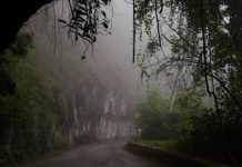 Rio registra madrugada mais fria do ano com 14,9 °C