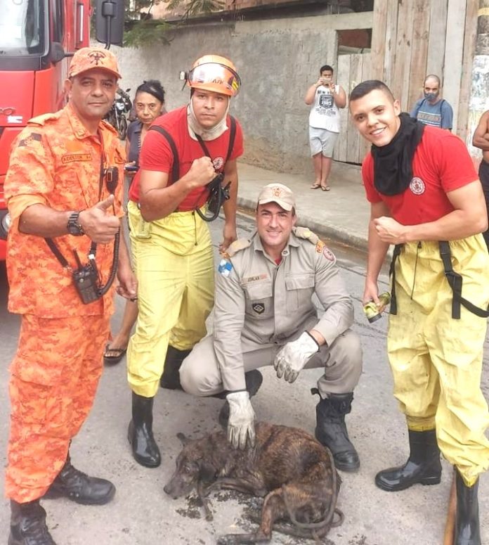 1- RESGATE CÃO BOMBEIROS