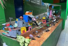 Alunos da Rede Municipal de Japeri abrem Feira Literária com arte, cultura e teatro