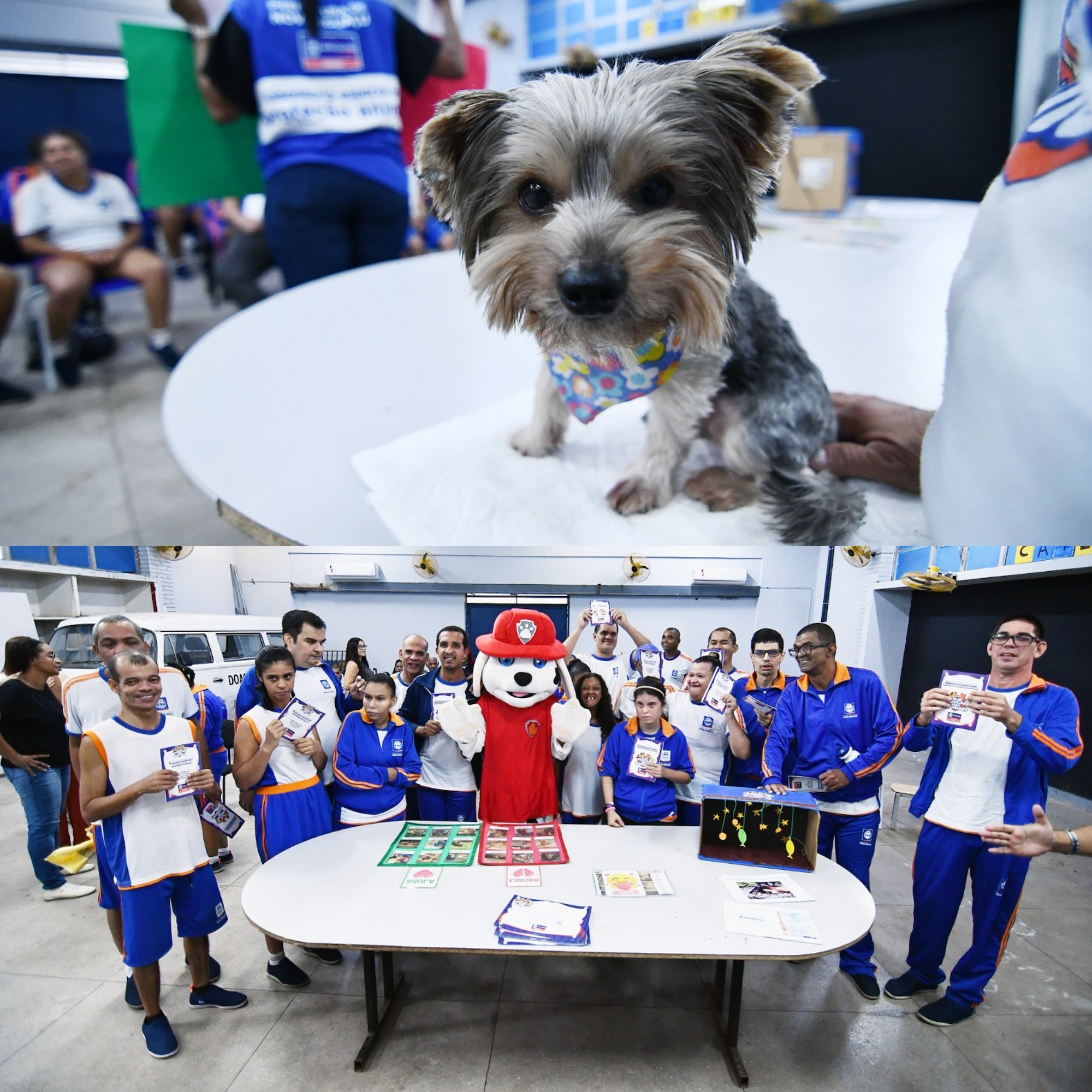 EDUCAÇÃO ESPECIAL RECEBE PROGRAMA DE PROTEÇÃO ANIMAL EM NOVA IGUAÇU