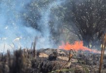 Brigada Florestal Voluntária realiza ações preventivas para evitar incêndios florestais em Nova Iguaçu